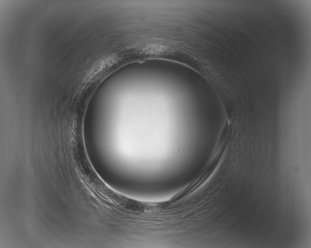 X0000086040591200703231242