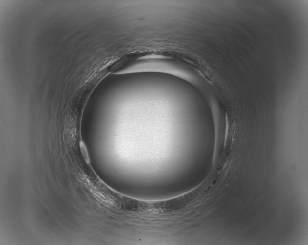 X0000086040593200703231242