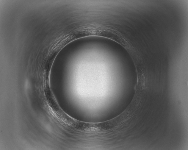 X0000086040594200703231242