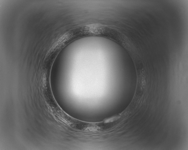 X0000086040595200703231242