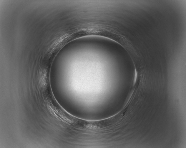 X0000086040596200703231242