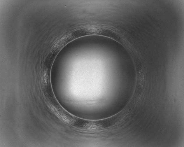 X0000086040597200703231242