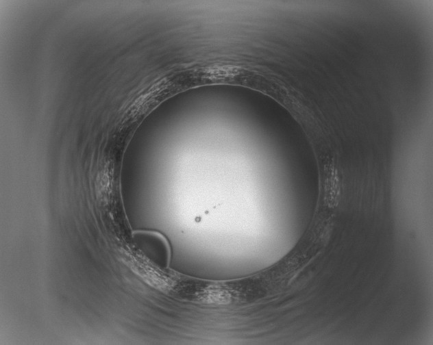 X0000086040608200703231242