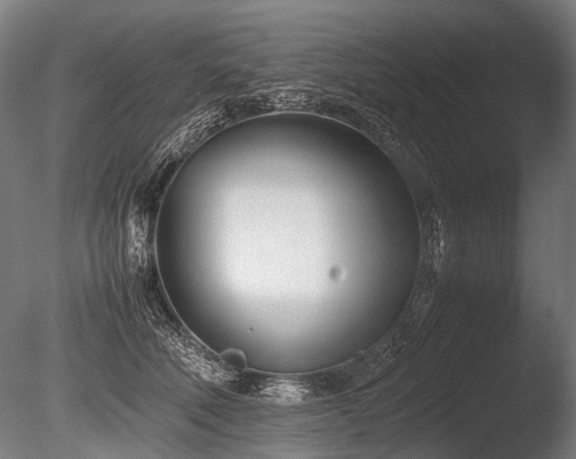 X0000086040610200703231242