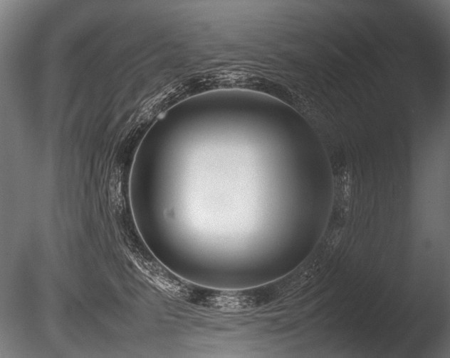 X0000086040615200703231242