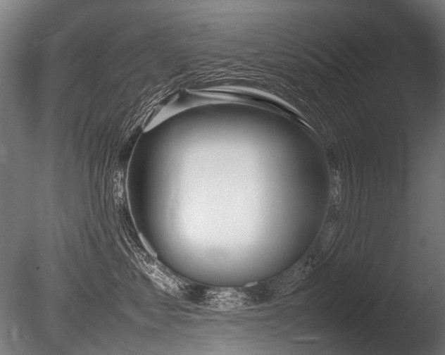 X0000086040621200703231242