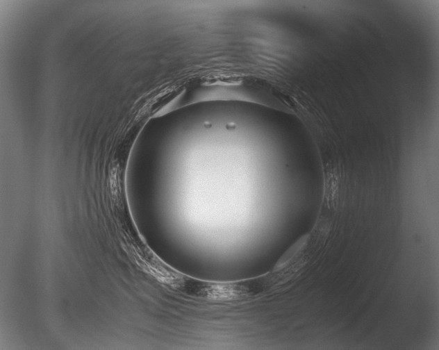 X0000086040623200703231242