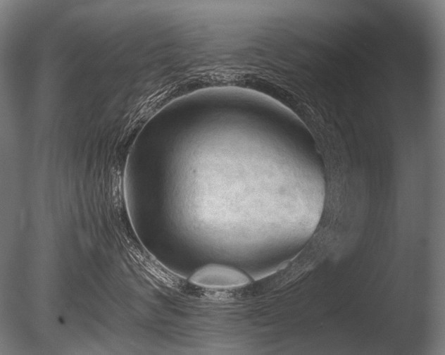 X0000086040624200703231242