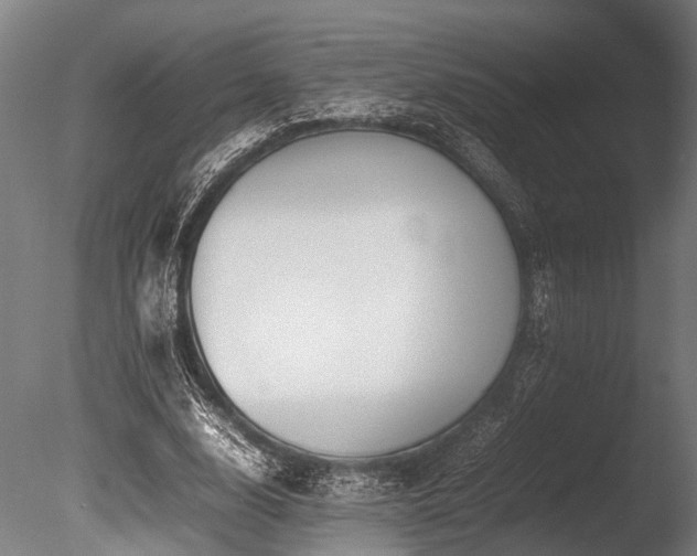 X0000086040632200703231241