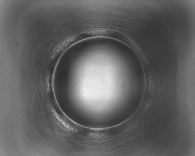 X0000086040633200703231241