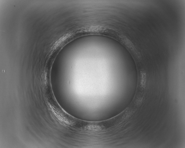 X0000086040636200703231241