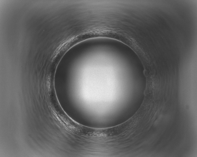 X0000086040640200703231241