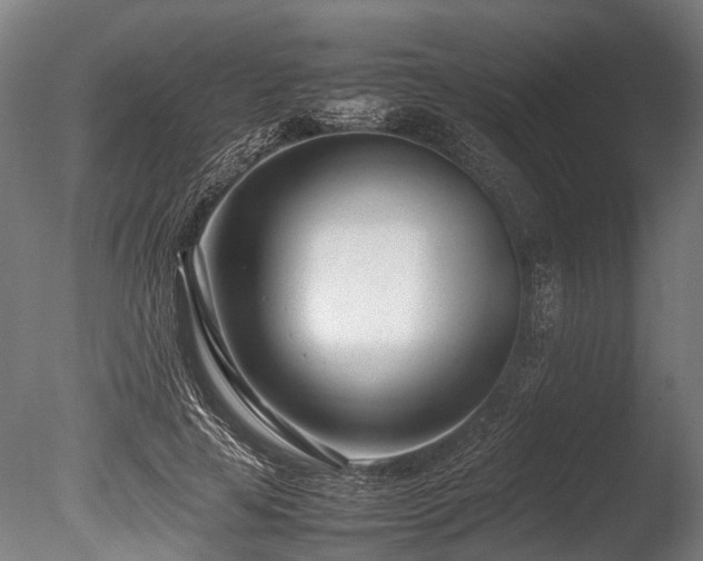 X0000086040641200703231241