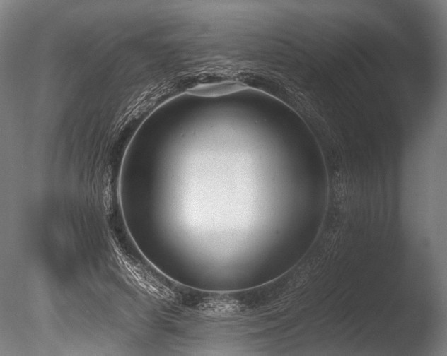 X0000086040642200703231241