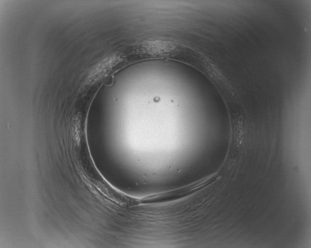 X0000086040644200703231241