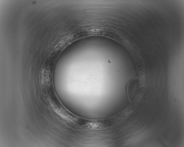 X0000086040654200703231242