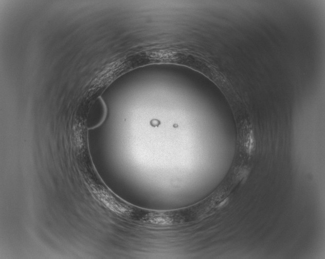 X0000086040658200703231242