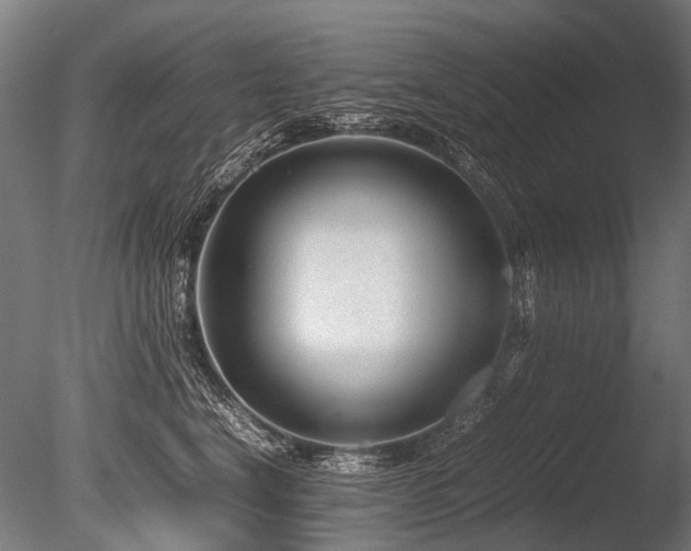 X0000086040664200703231242