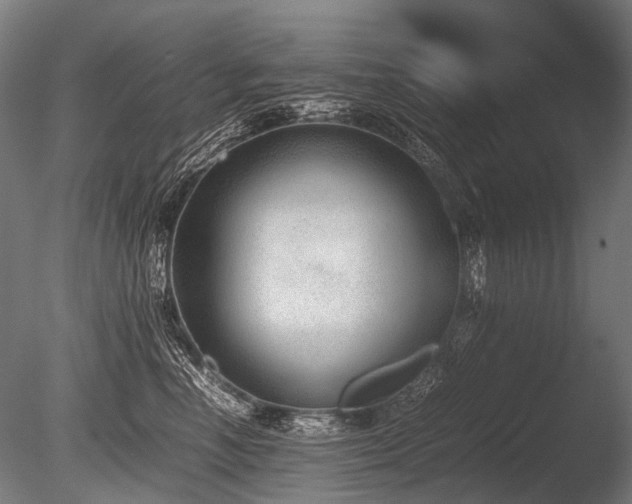 X0000086040666200703231242