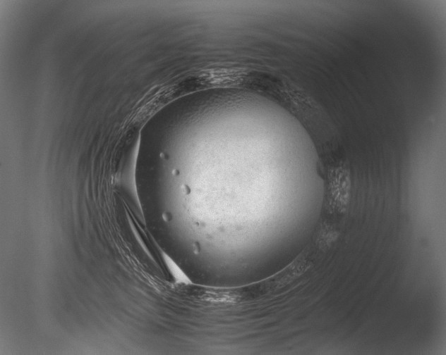 X0000086040667200703231242