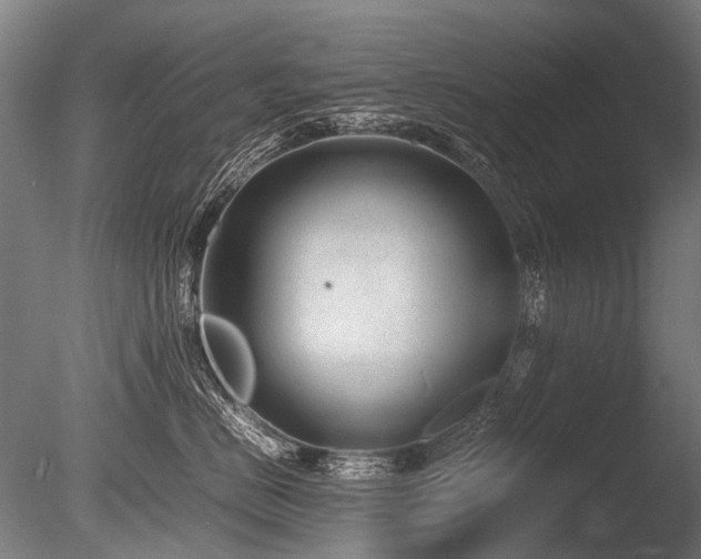 X0000086040670200703231242