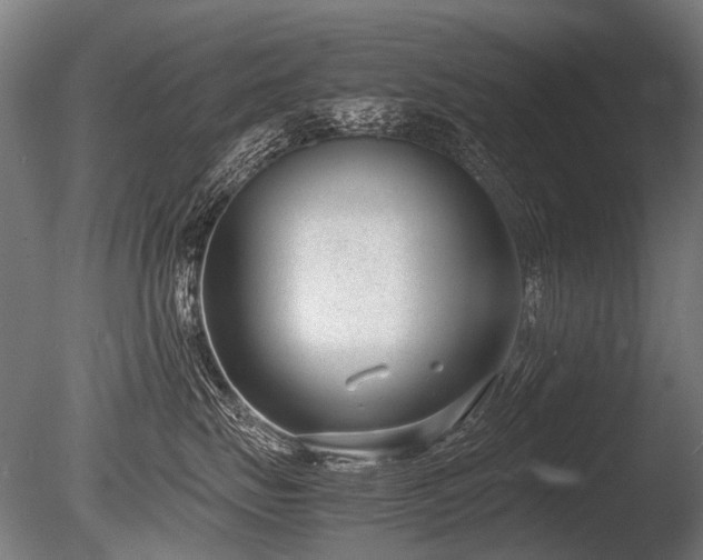 X0000086040671200703231242