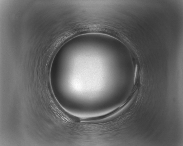 X0000086040673200703231241