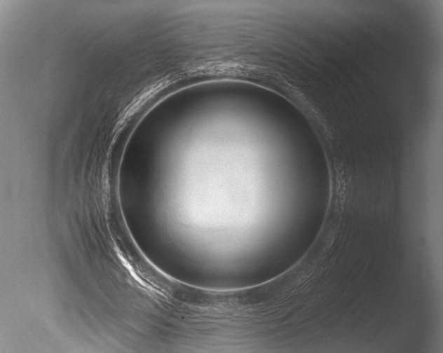 X0000086040674200703231241