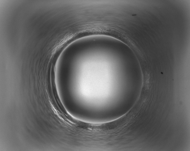 X0000086040677200703231241
