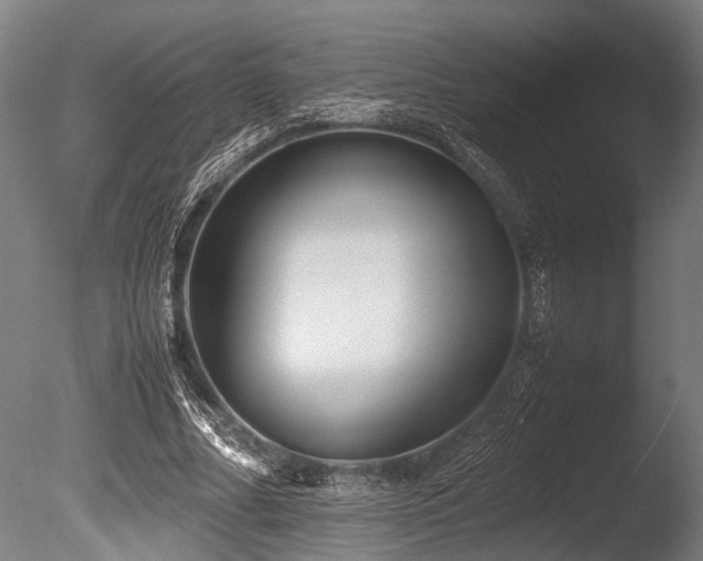 X0000086040682200703231241