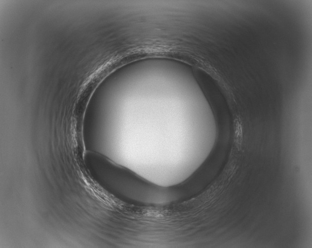 X0000086040684200703231241