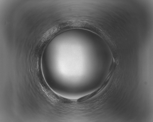 X0000086040685200703231241