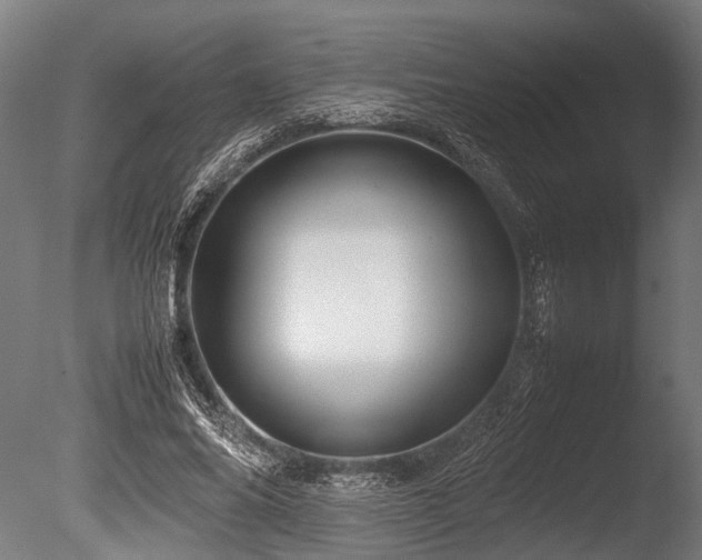 X0000086040686200703231241