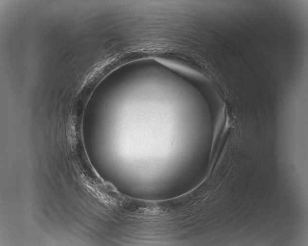 X0000086040688200703231241