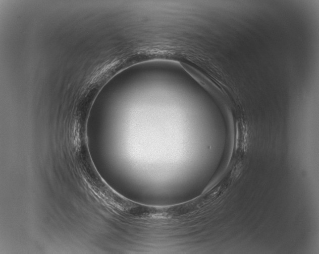 X0000086040692200703231241