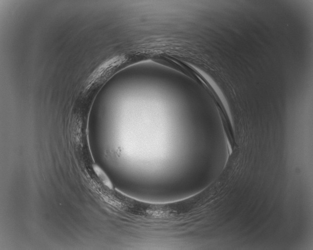 X0000086040693200703231241