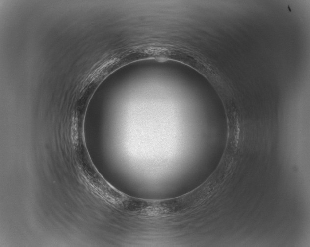 X0000086040696200703231241