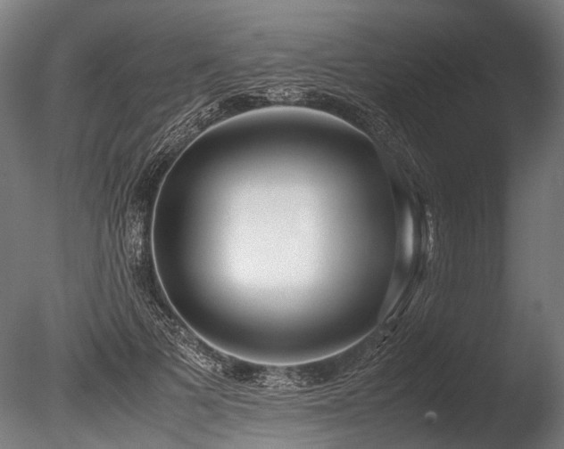 X0000086040697200703231241