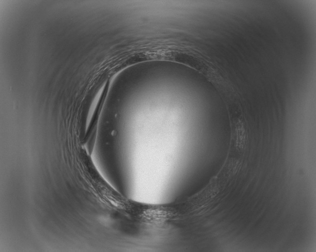 X0000086040699200703231241