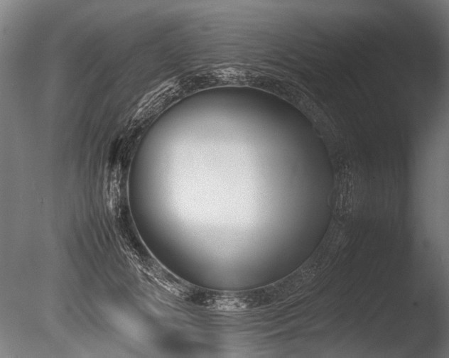 X0000086040702200703231241