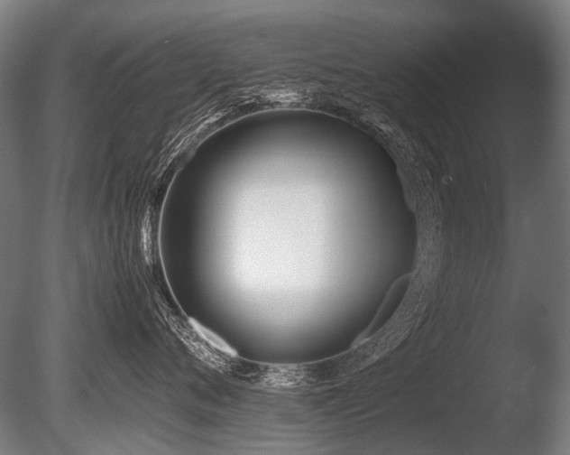 X0000086040720200703231240