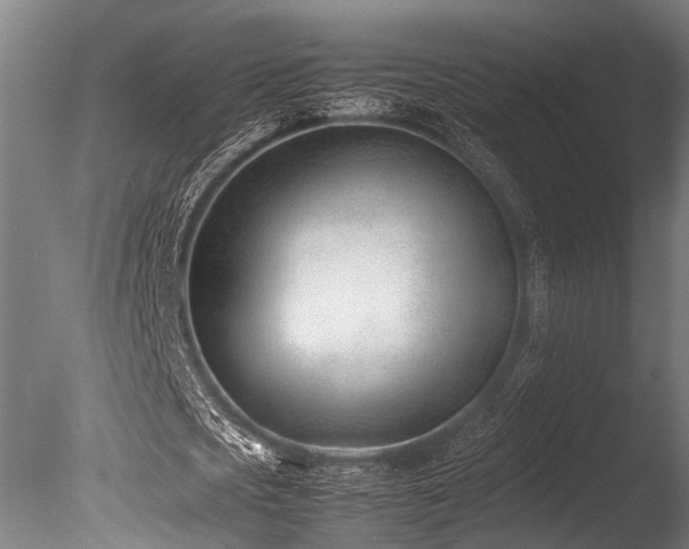 X0000086040721200703231239