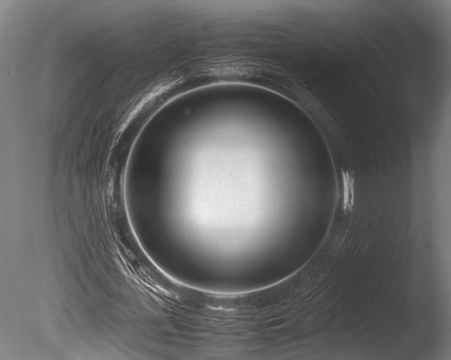 X0000086040723200703231239