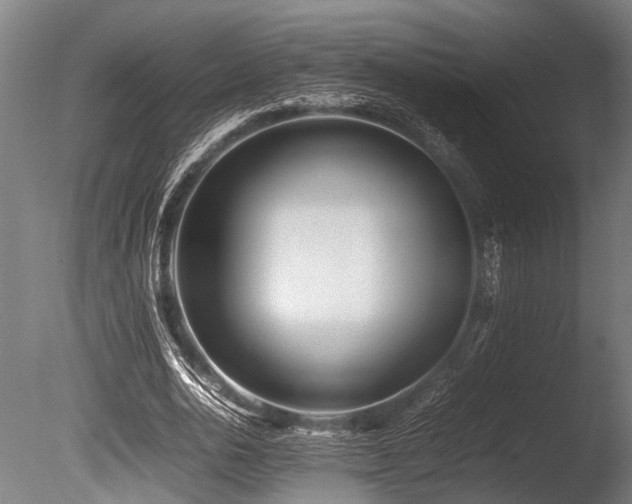 X0000086040726200703231239
