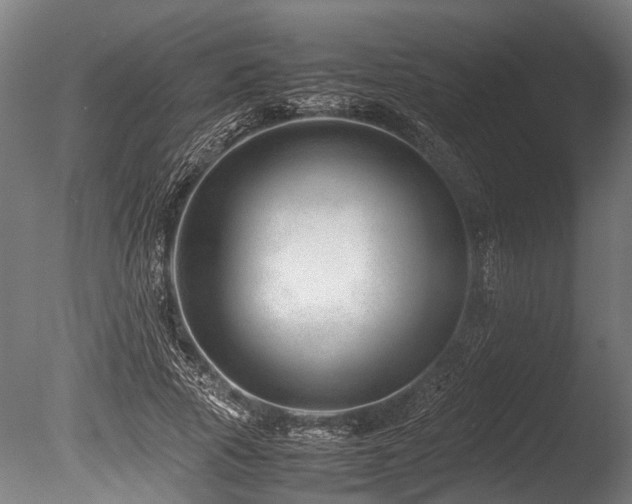 X0000086040737200703231240