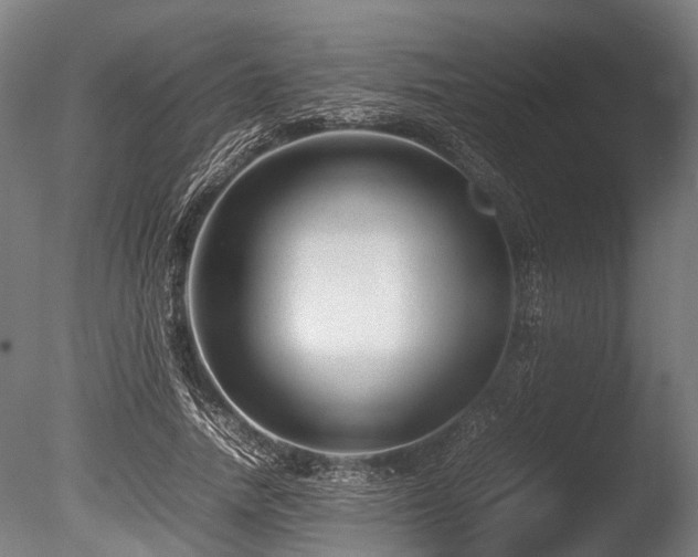 X0000086040738200703231240