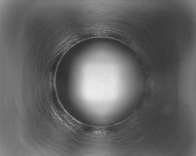 X0000086040744200703231240