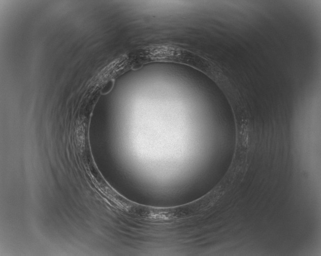 X0000086040753200703231240