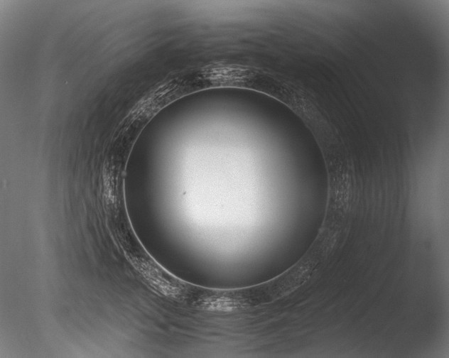 X0000086040755200703231240