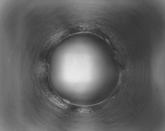 X0000086040756200703231240